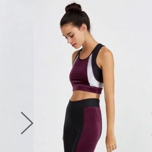 Laain Chloe Diamond Velvet Luxury Sports Bra